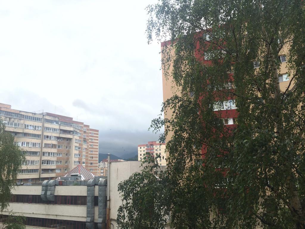 Apartment Krondays Brasov Exterior photo